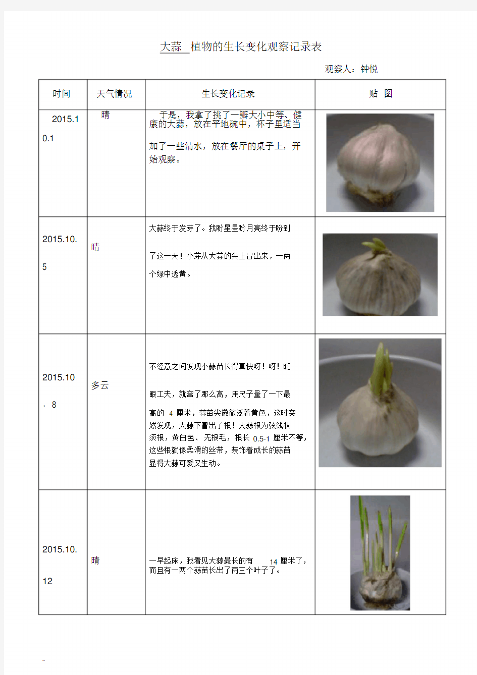 大蒜植物的生长变化观察记录表