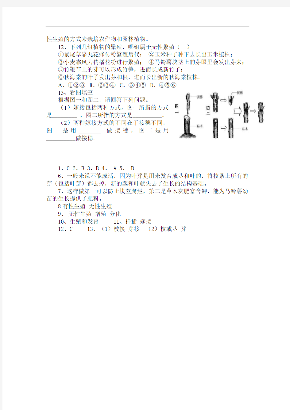 部编版初中语文第一节植物的生殖