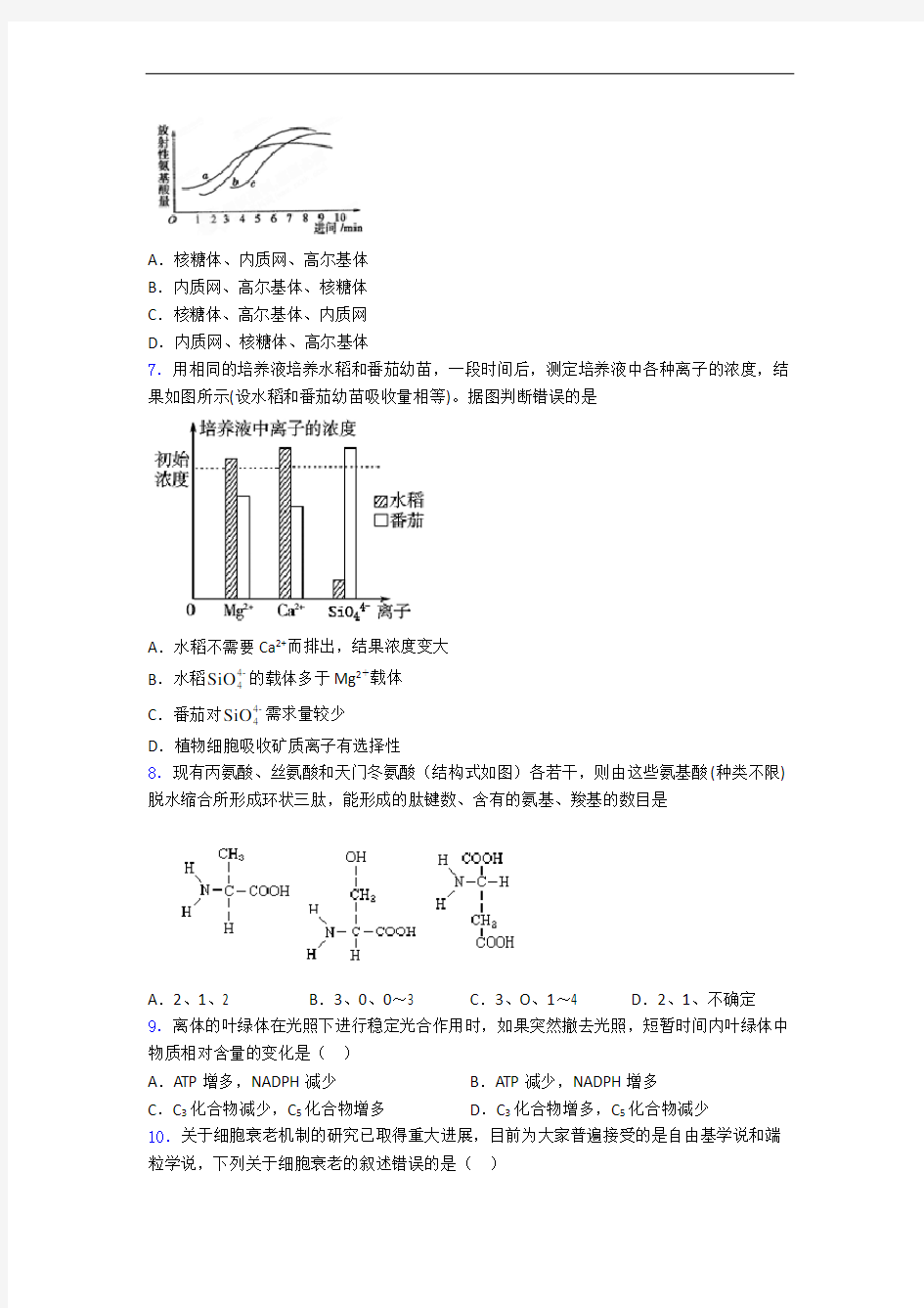 高一上学期生物期末试卷(含答案)