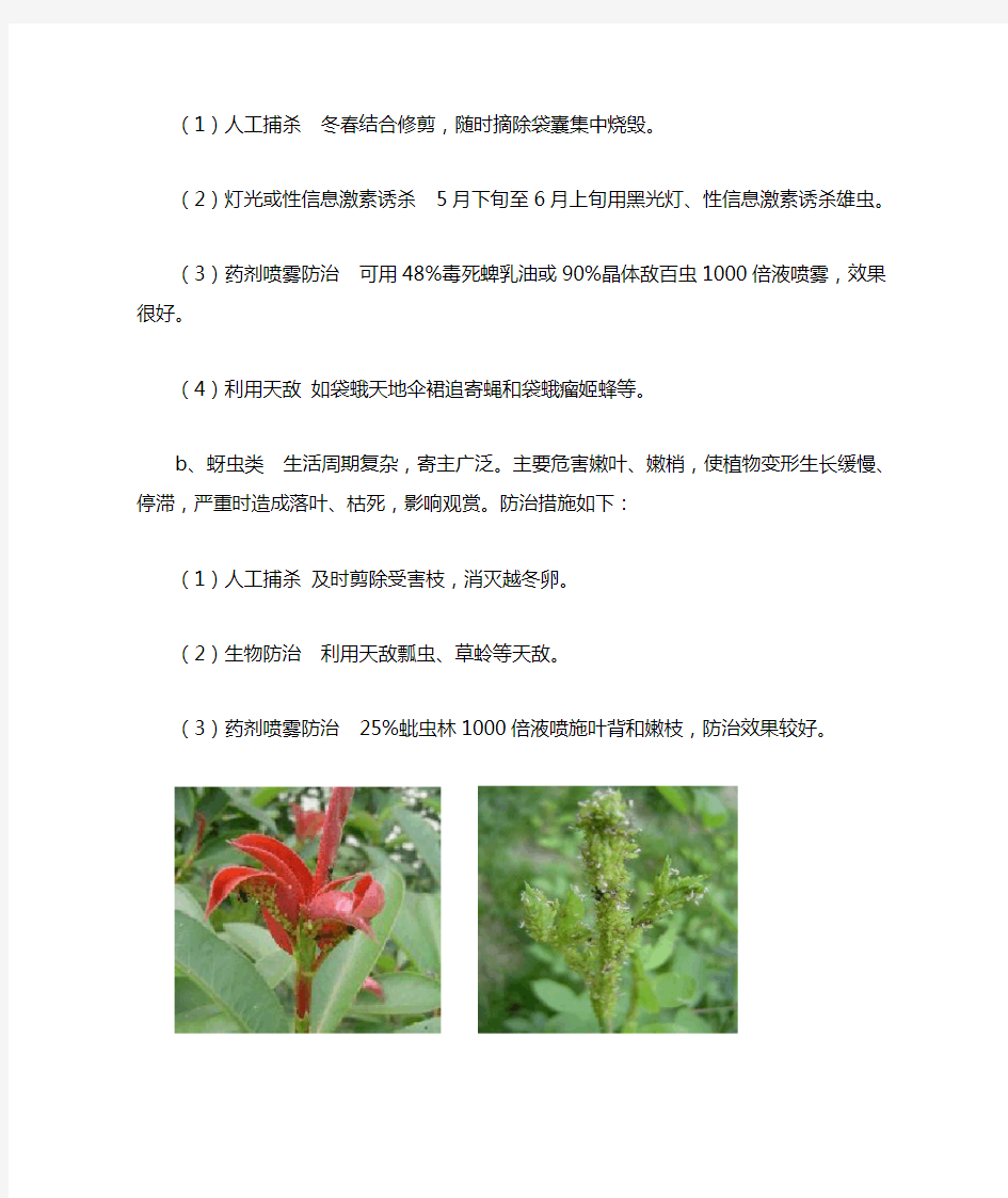 郑州园林树木病虫害防治措施(图文)