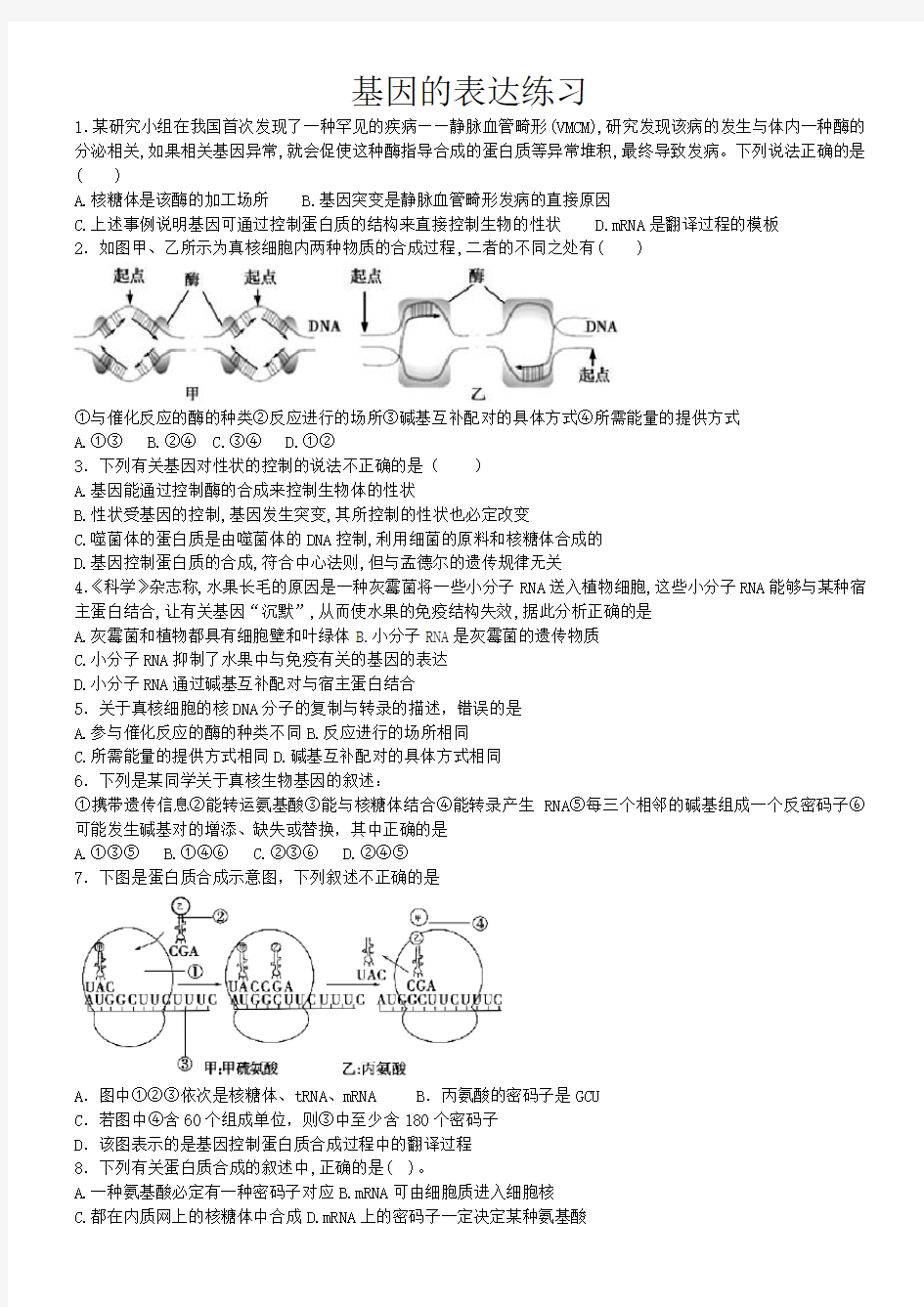 基因的表达专题练习