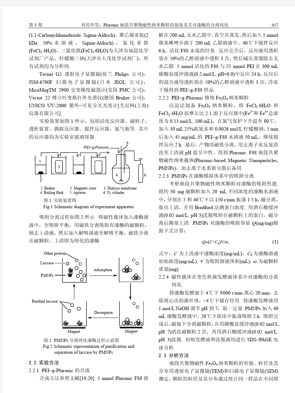 Pluronic嵌段共聚物磁性纳米颗粒的制备及其对漆酶的分离纯化