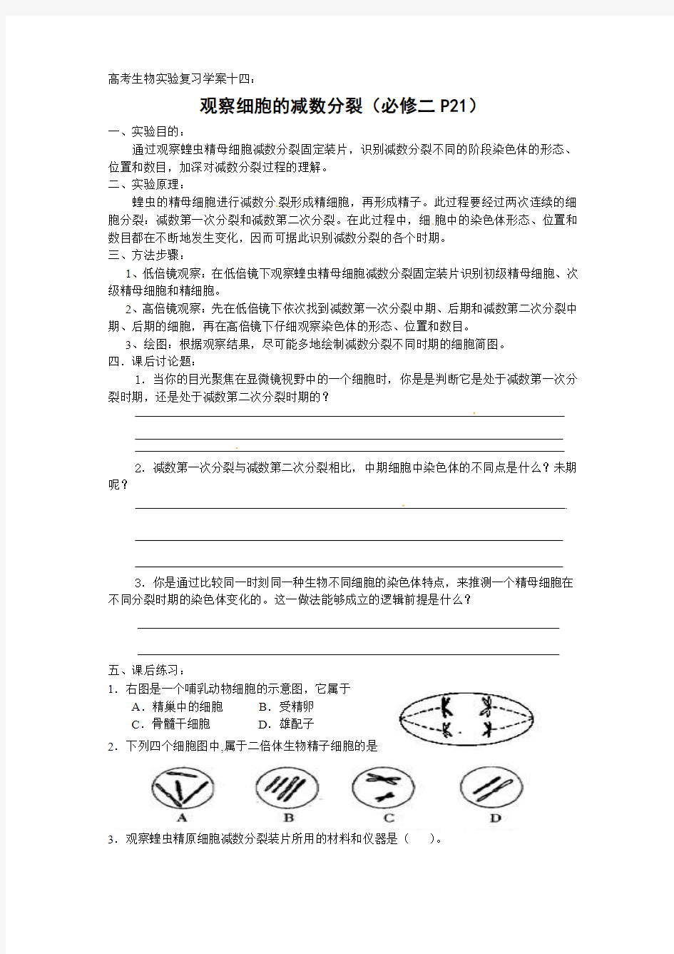 高考生物实验复习学案14：观察细胞的减数分裂