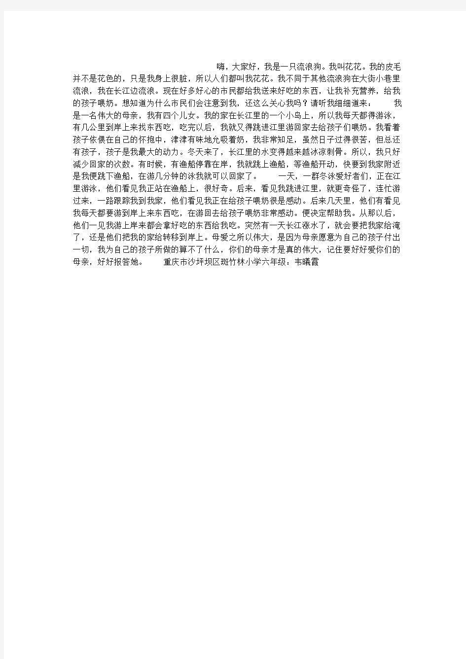 一只流浪狗的自述作文600字