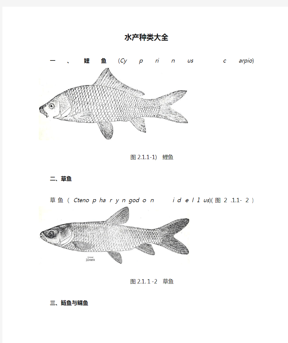 水产种类大全