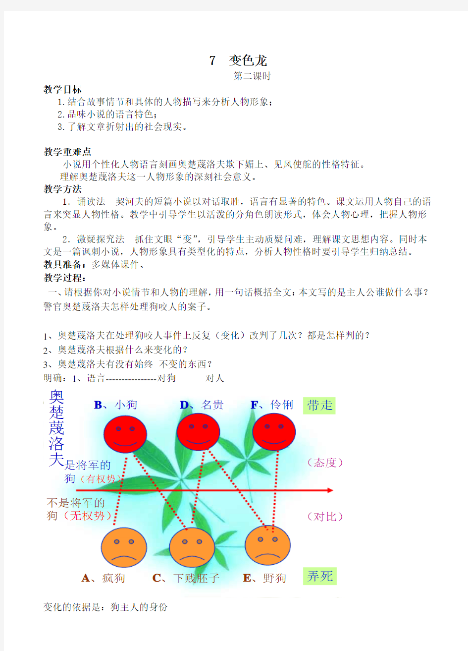 变色龙  第二课时