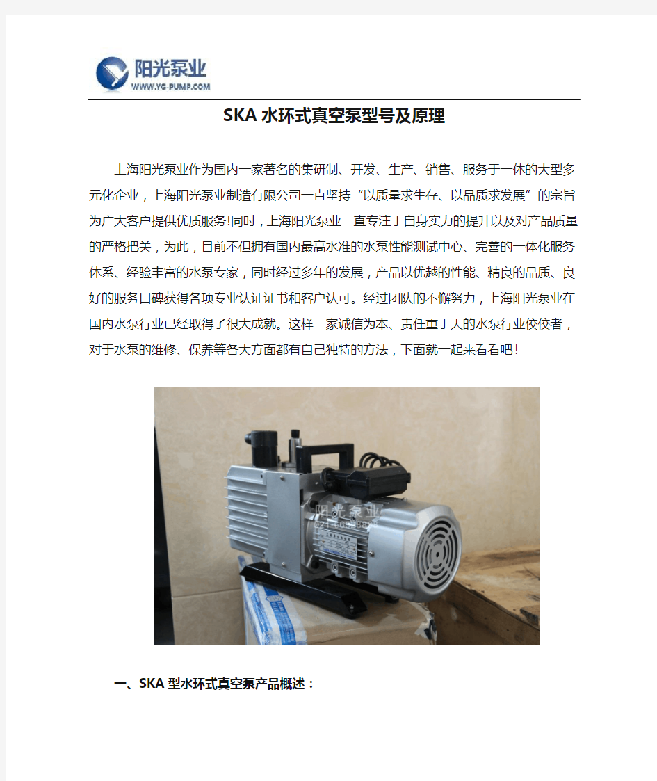 SKA水环式真空泵型号及原理