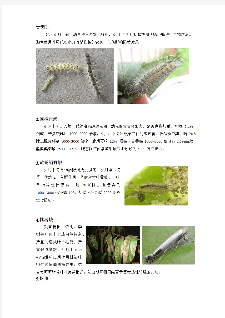 北京市园林科学研究院6月病虫害预防报告