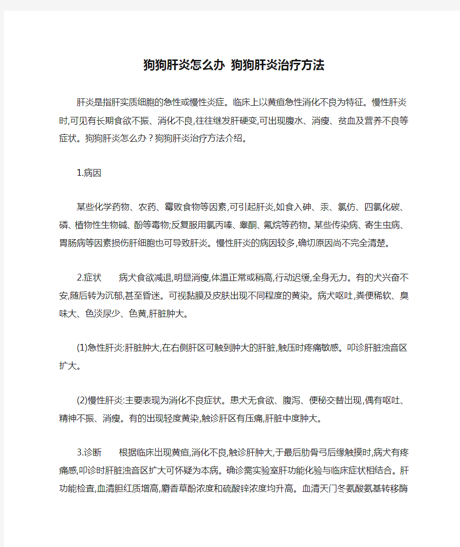 狗狗肝炎怎么办 狗狗肝炎治疗方法