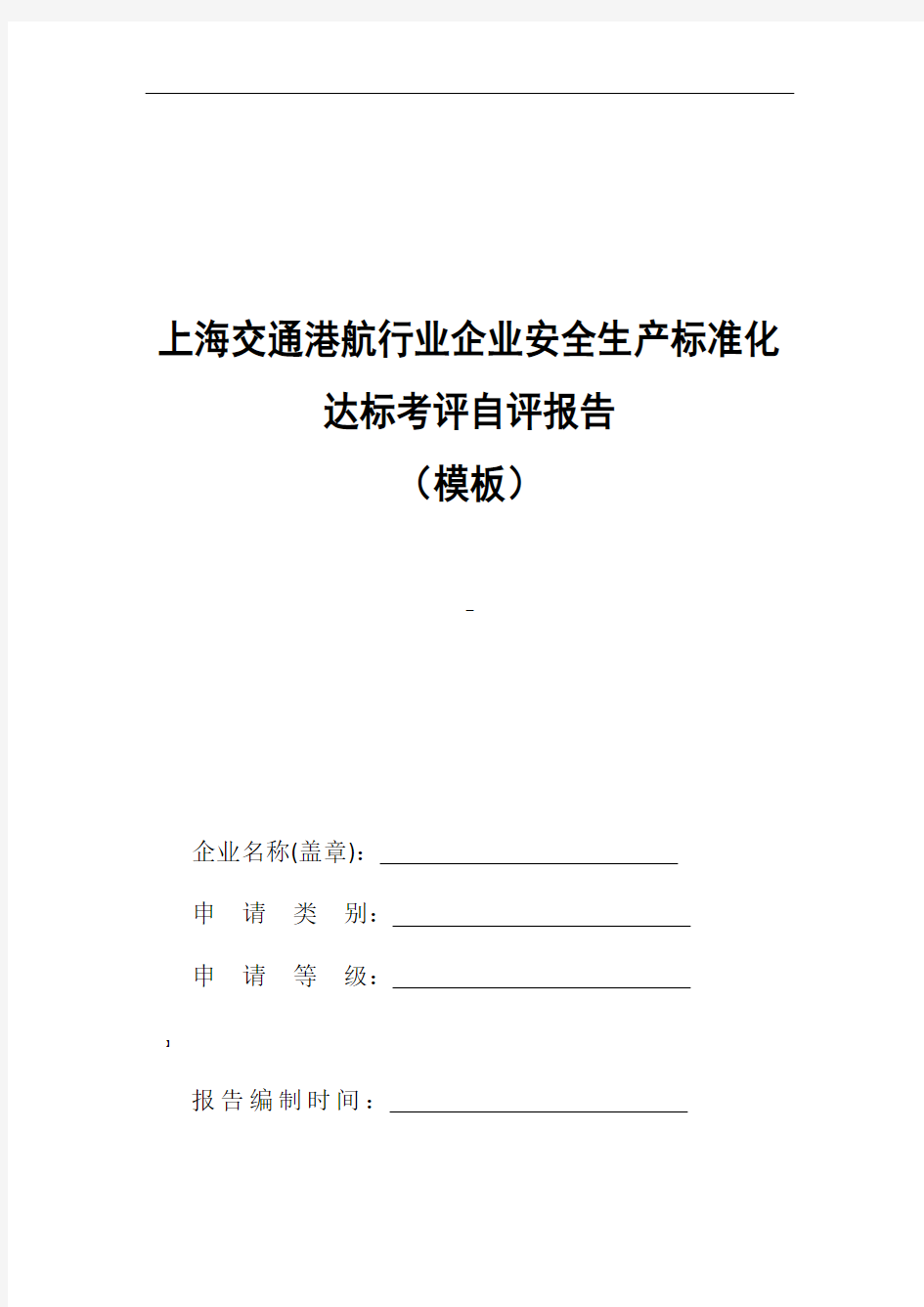 上海交通港航行业安全生产标准化自评报告(模板)