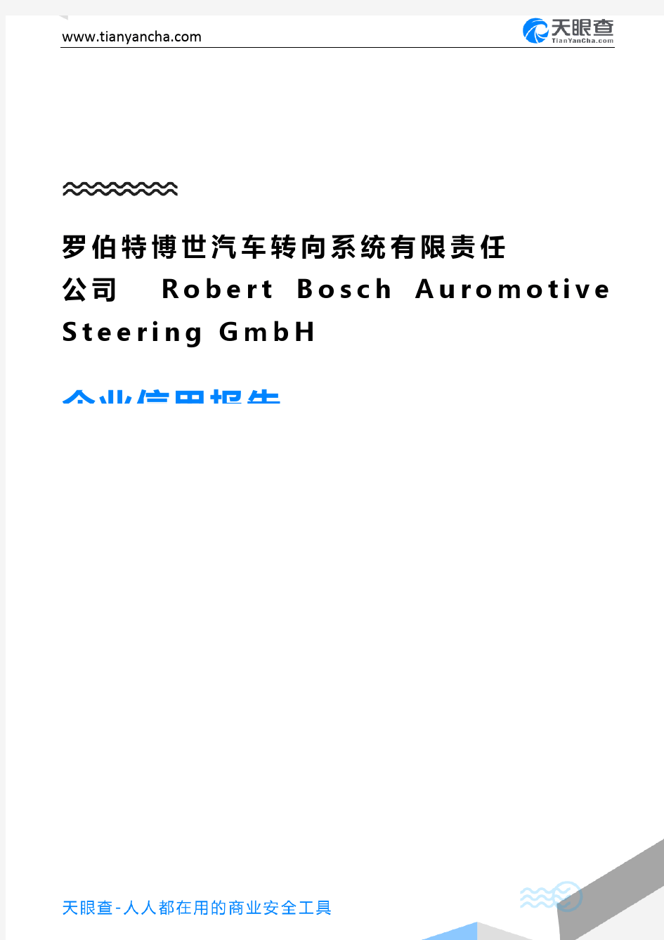 罗伯特博世汽车转向系统有限责任公司 Robert Bosch Auromotive Steering