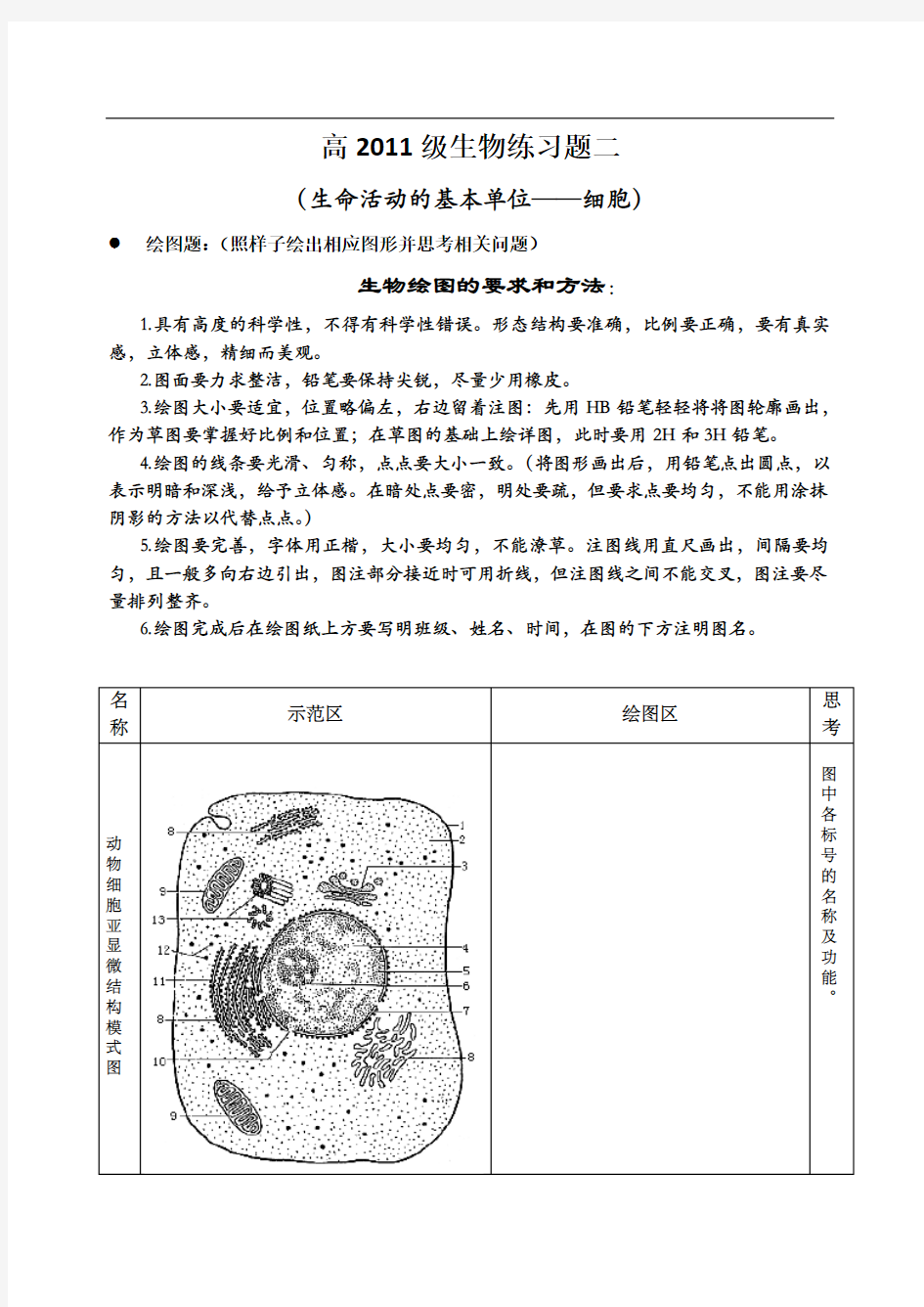 高中生物绘图题