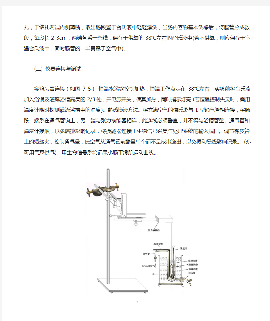 小肠平滑肌生理特性的观察与分析