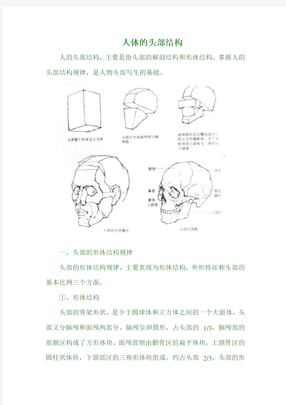 人物素描：人体头部结构图