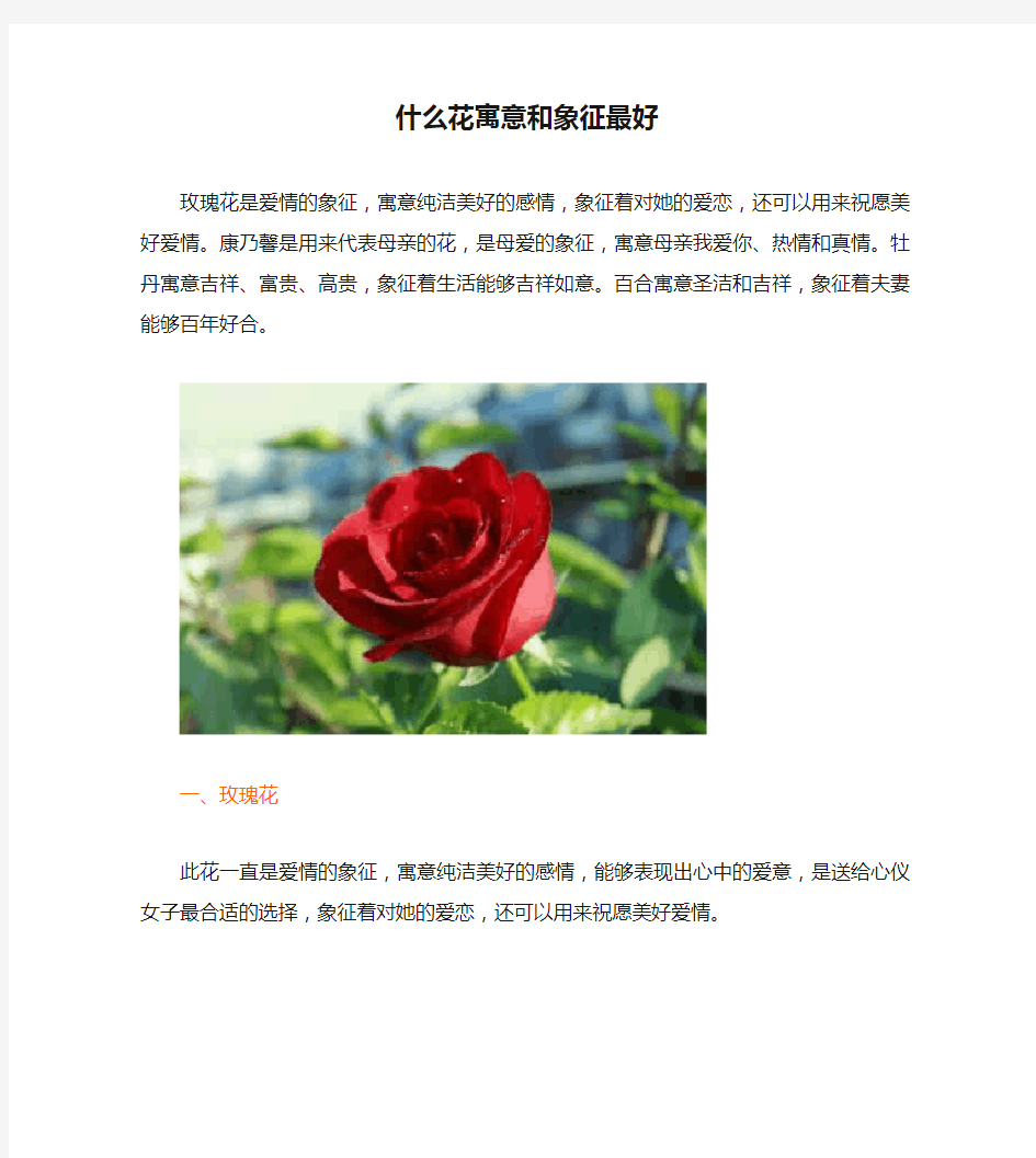 什么花寓意和象征最好