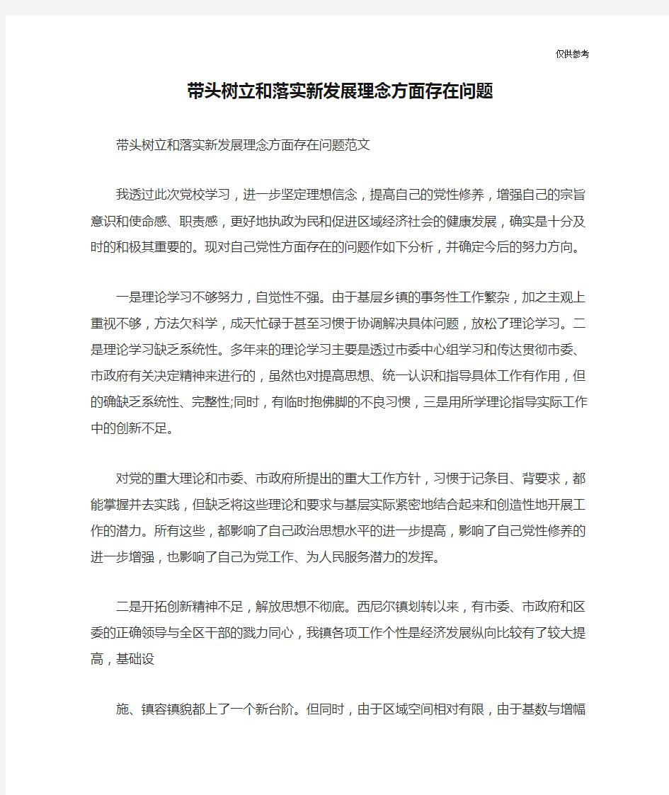 带头树立和落实新发展理念方面存在问题