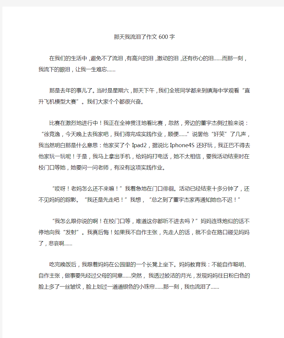 那天我流泪了精选优秀作文600字