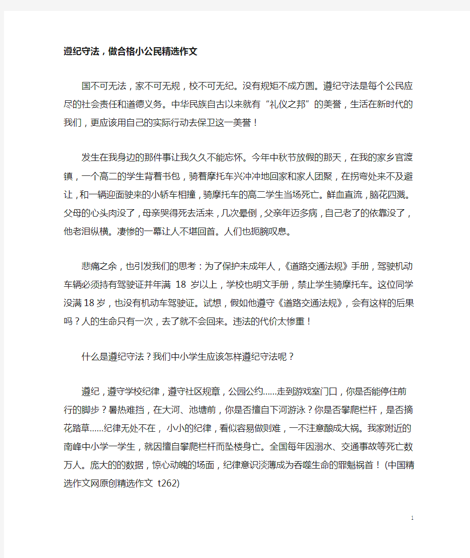 遵纪守法,做合格小公民精选作文