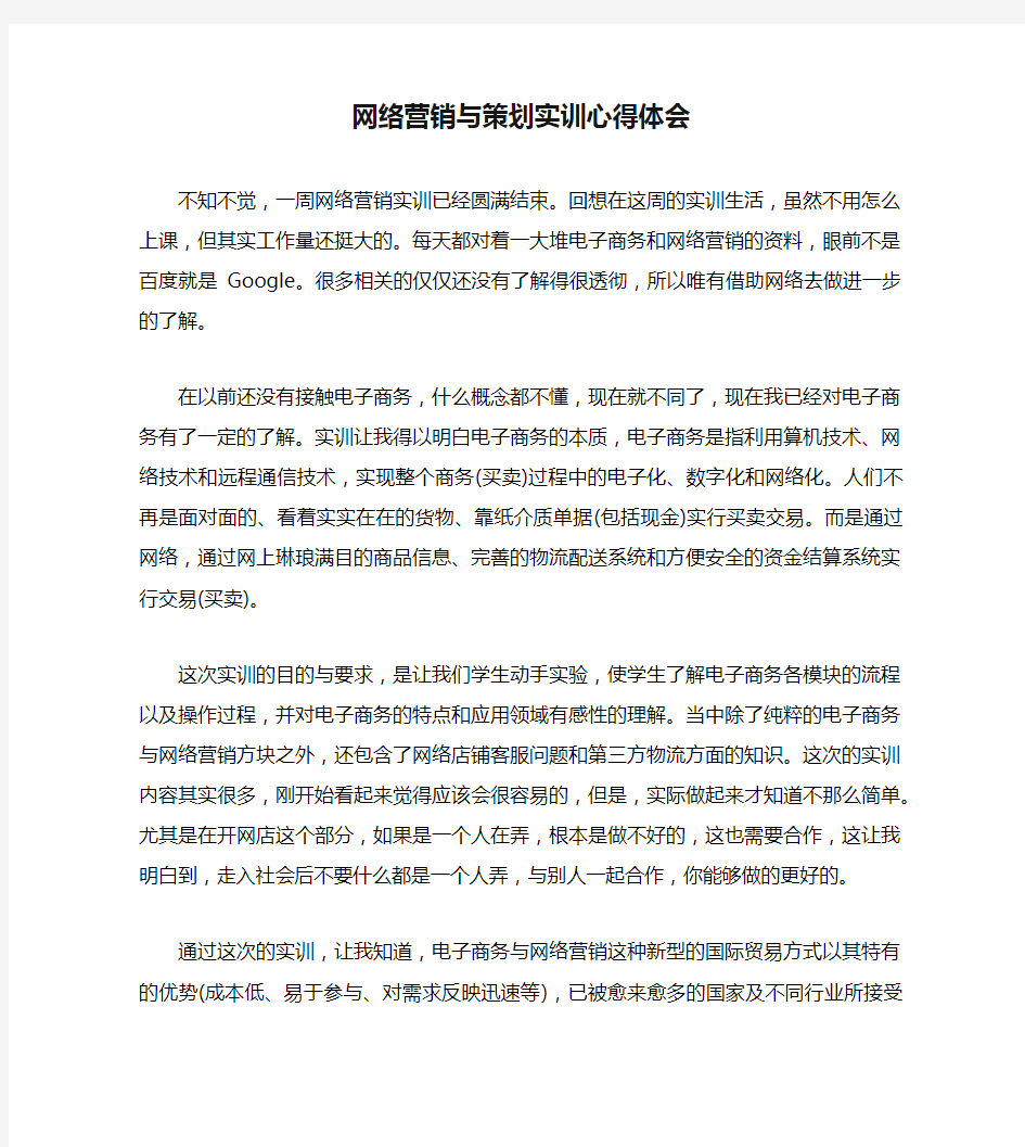 网络营销与策划实训心得体会