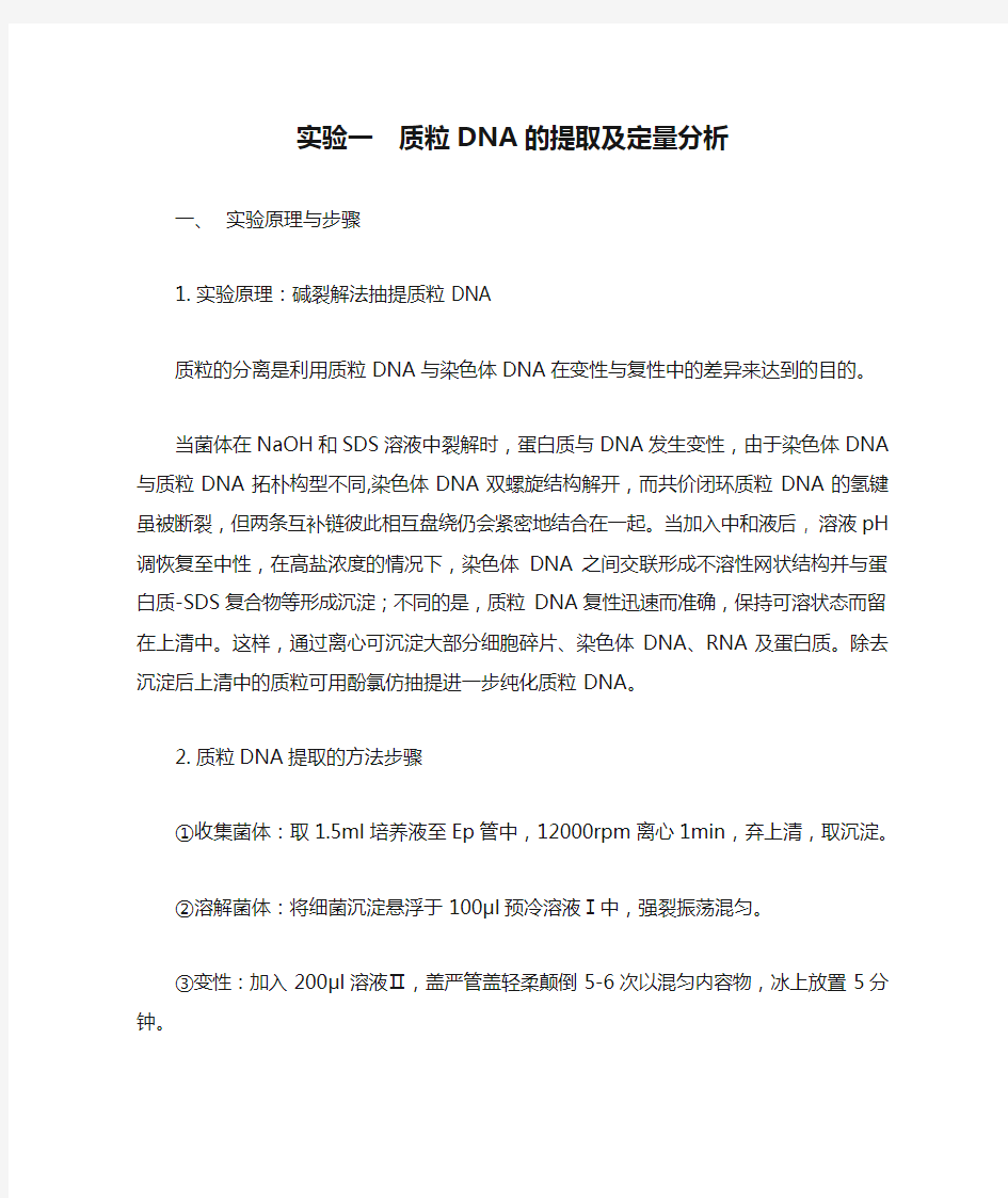 实验一  质粒DNA的提取及定量分析