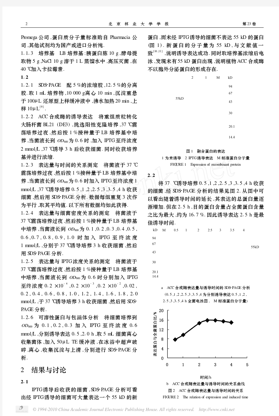 大肠杆菌BL21_DE3_中表达重组蛋白的研究