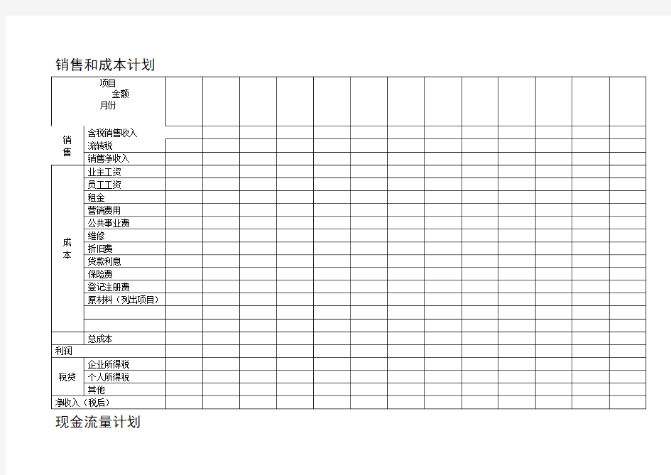 销售和成本计划表