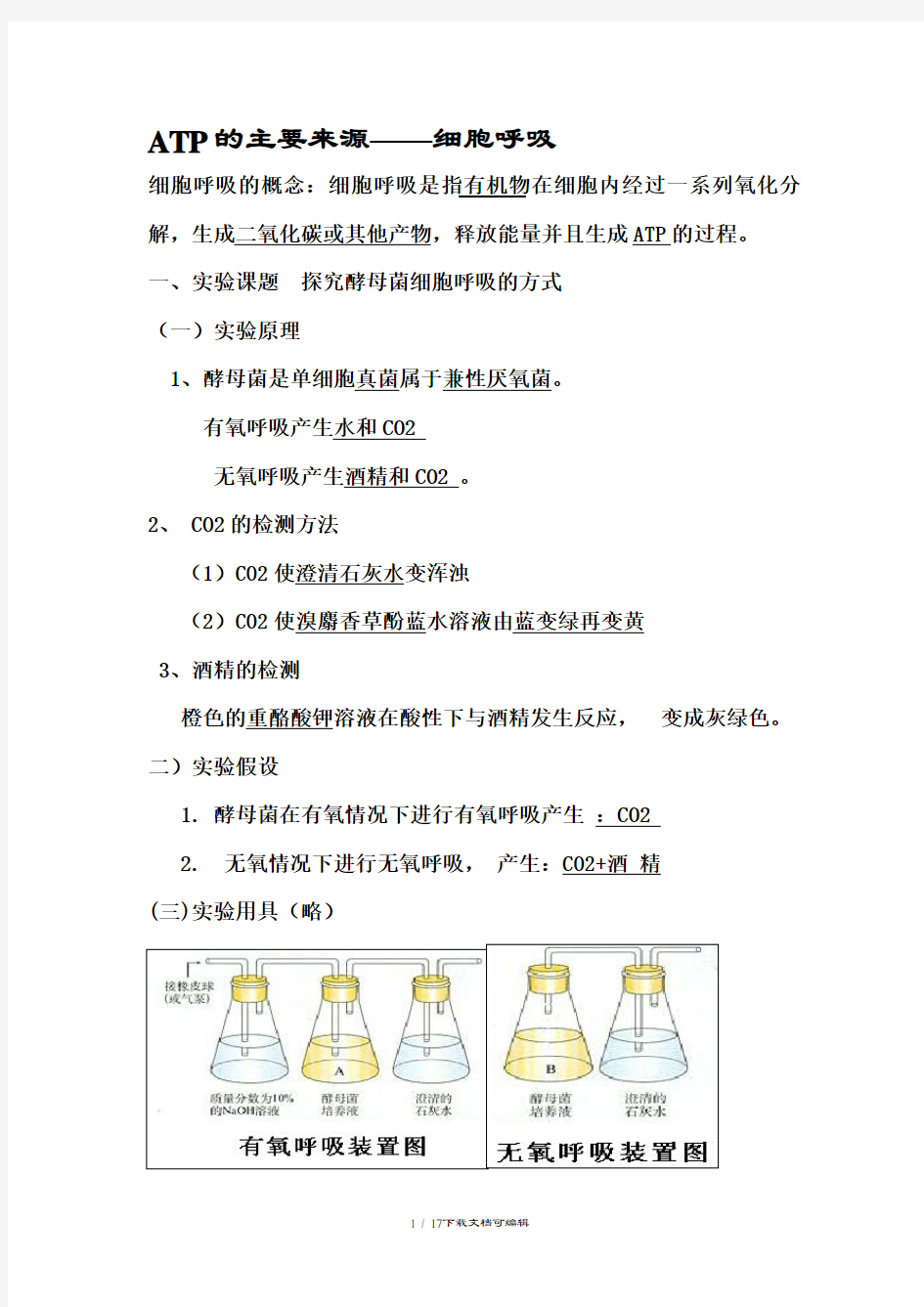 光合作用和呼吸作用知识点总结