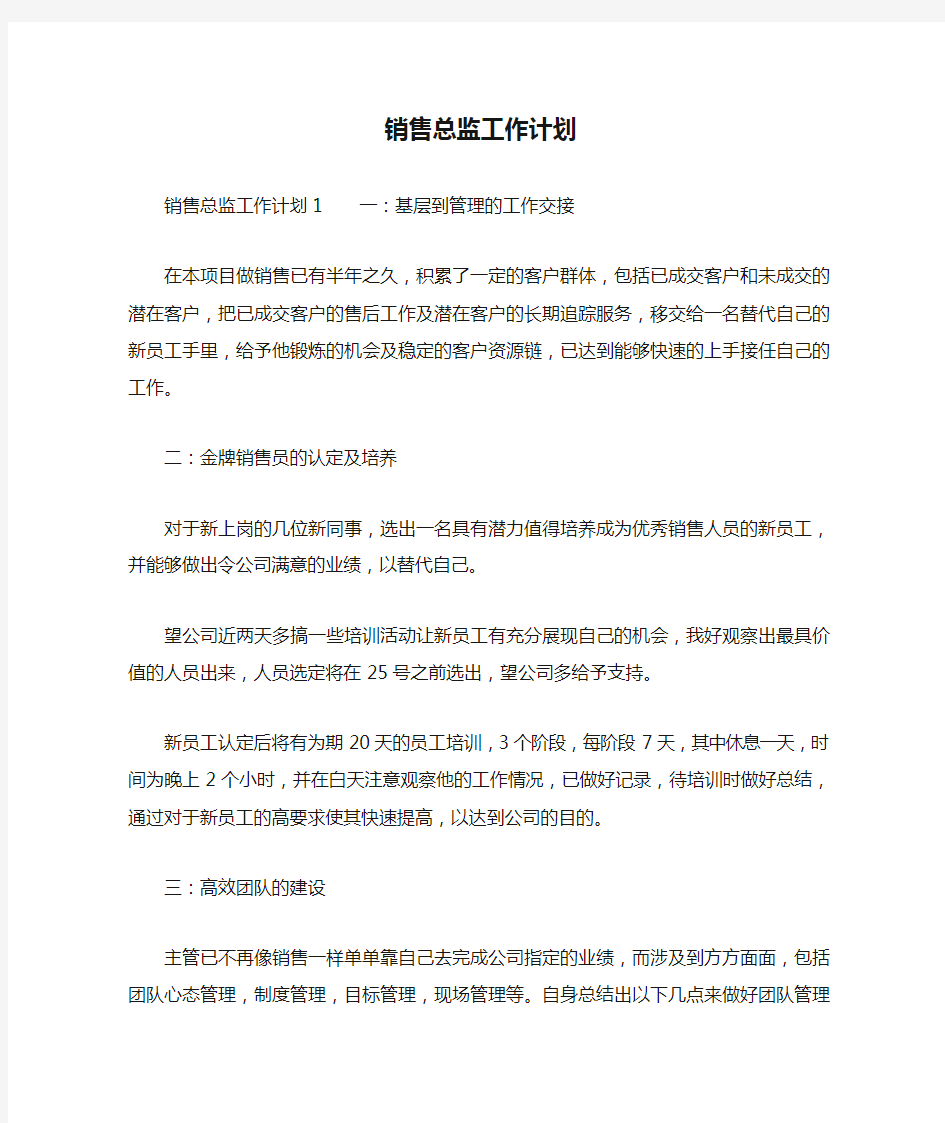 销售总监工作计划