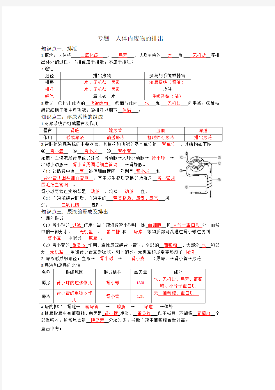 专题 人体内废物的排出(有答案版)