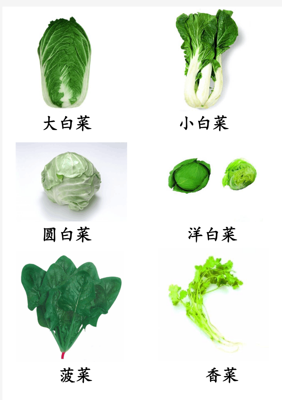 各种蔬菜图片总汇