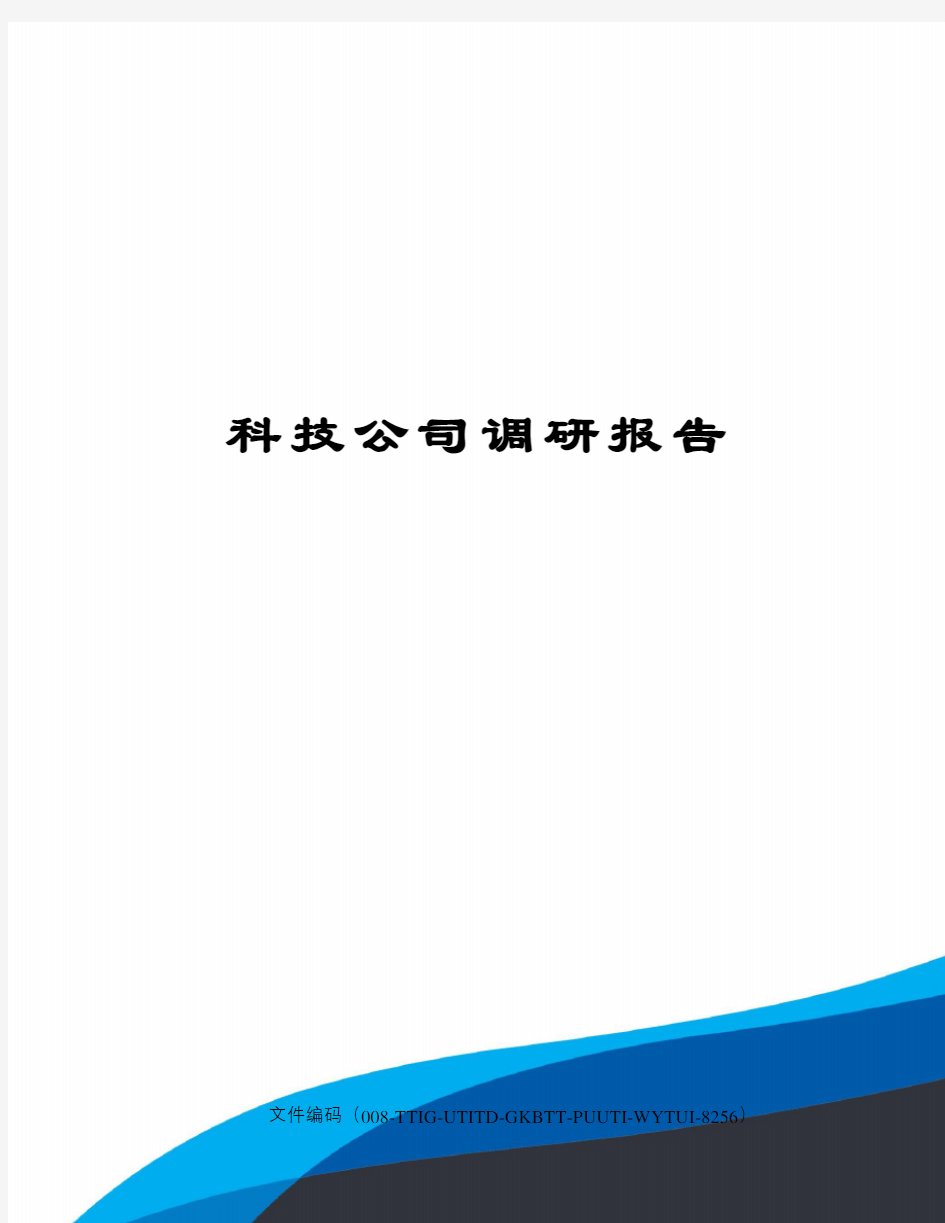 科技公司调研报告