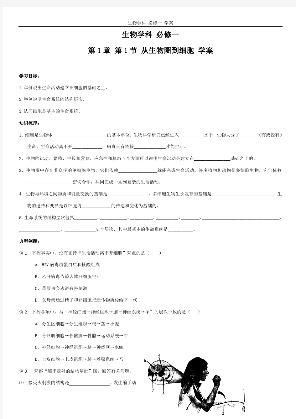 高一生物必修一全套学案--(配习题、单元测试题及答案)