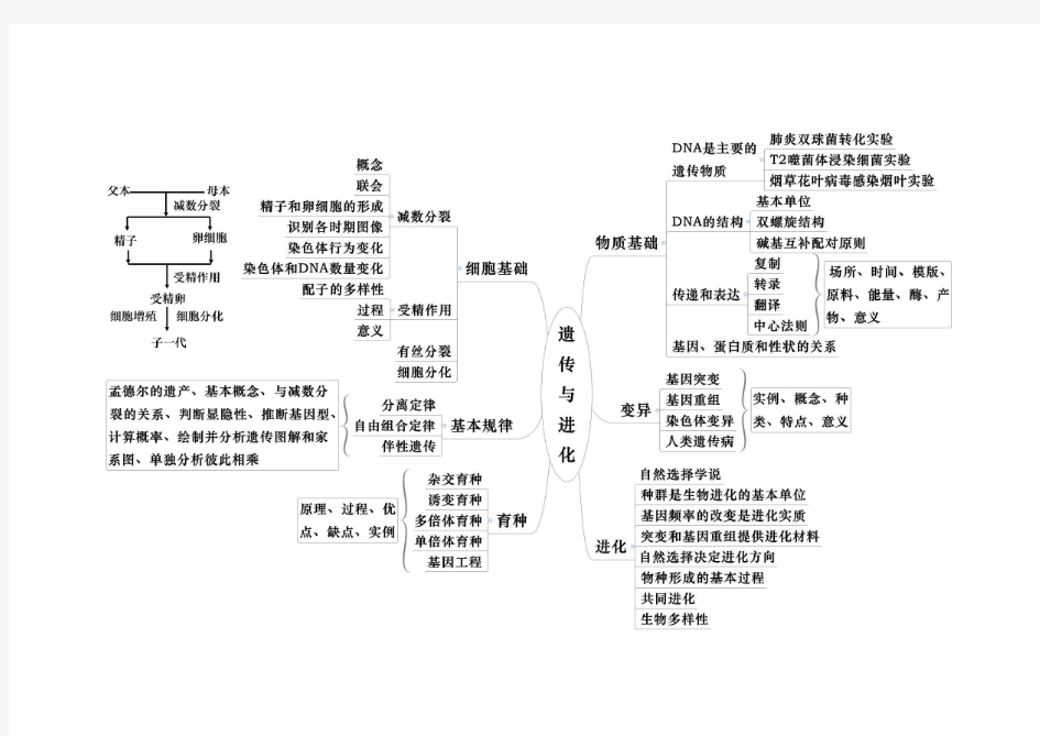 生物-必修2-思维导图