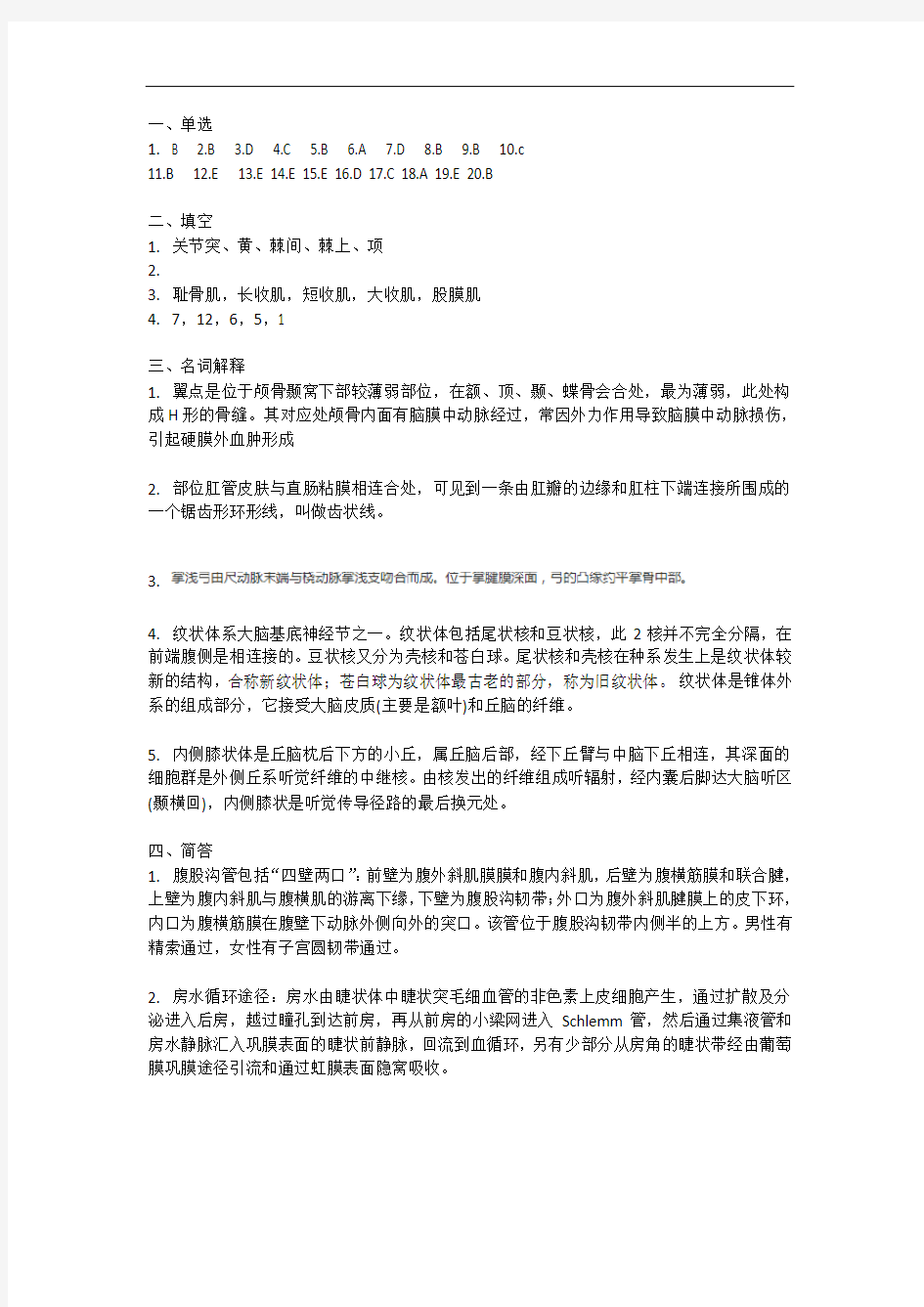 中国医科大学成人教育《系统解剖学》补考期末考试复习题及参考答案