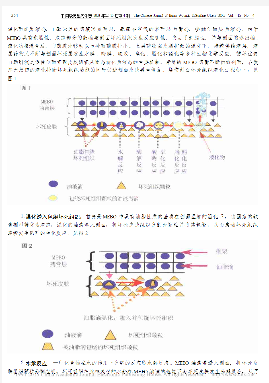 烧伤皮肤再生疗法与创面愈合的机制_徐荣祥