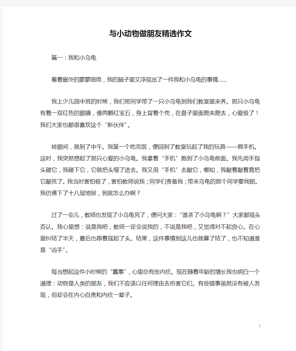 与小动物做朋友精选作文