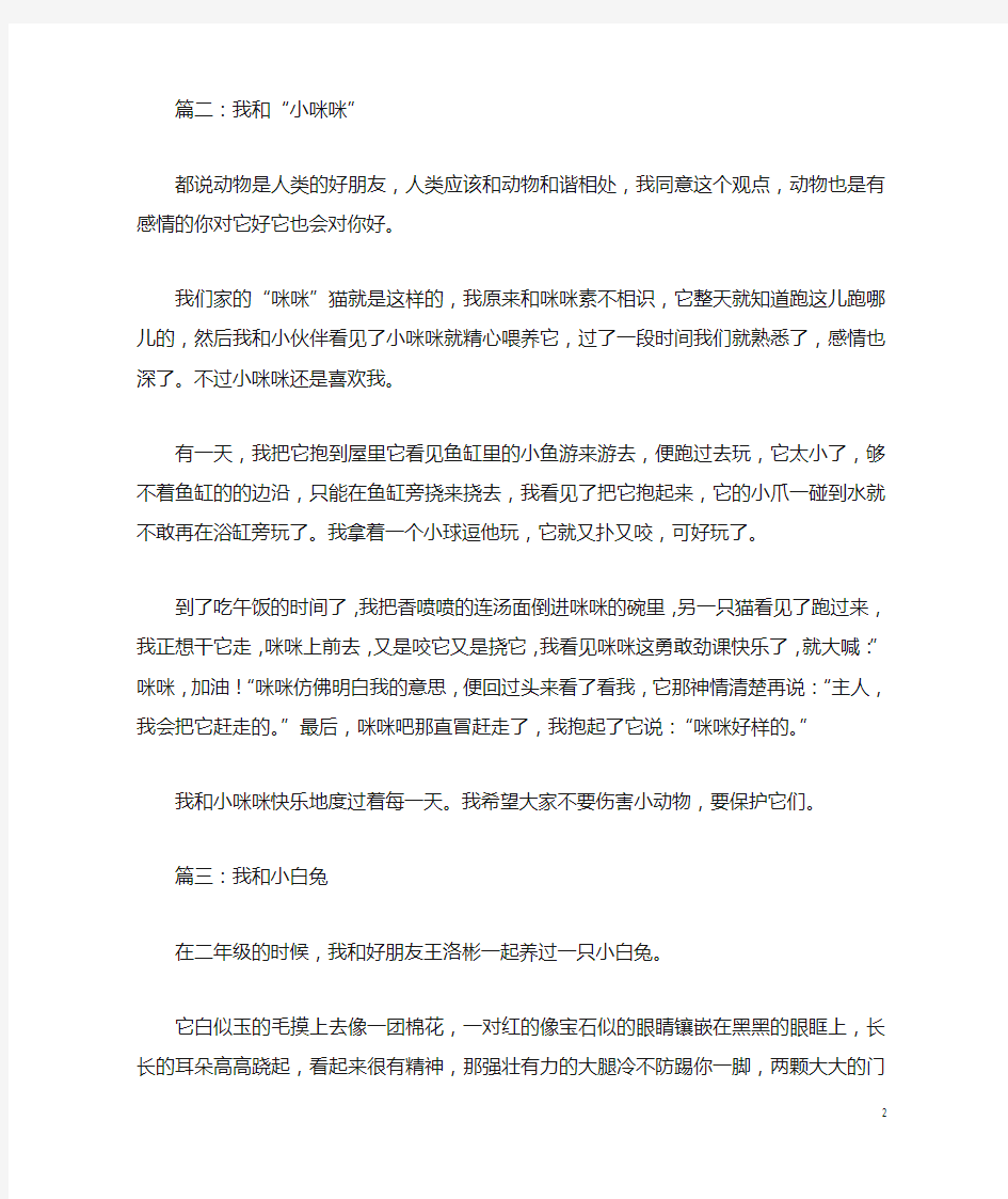 与小动物做朋友精选作文