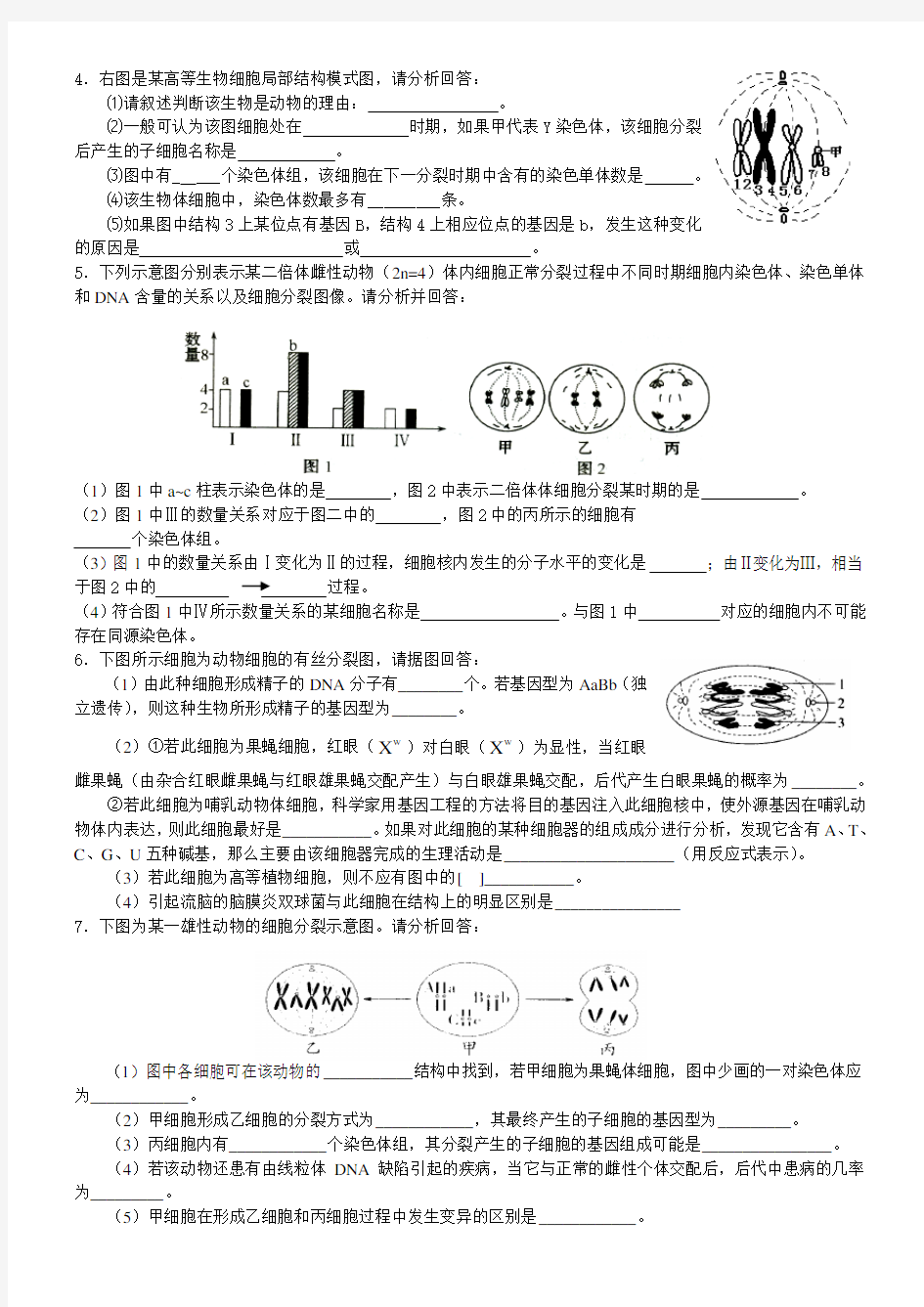 有关细胞分裂图像的非选择题