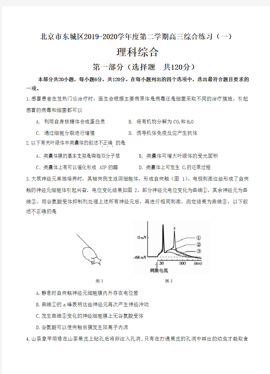 北京市东城区2019-2020学年度第二学期高三综合练习(一)理综生物试题(含答案)