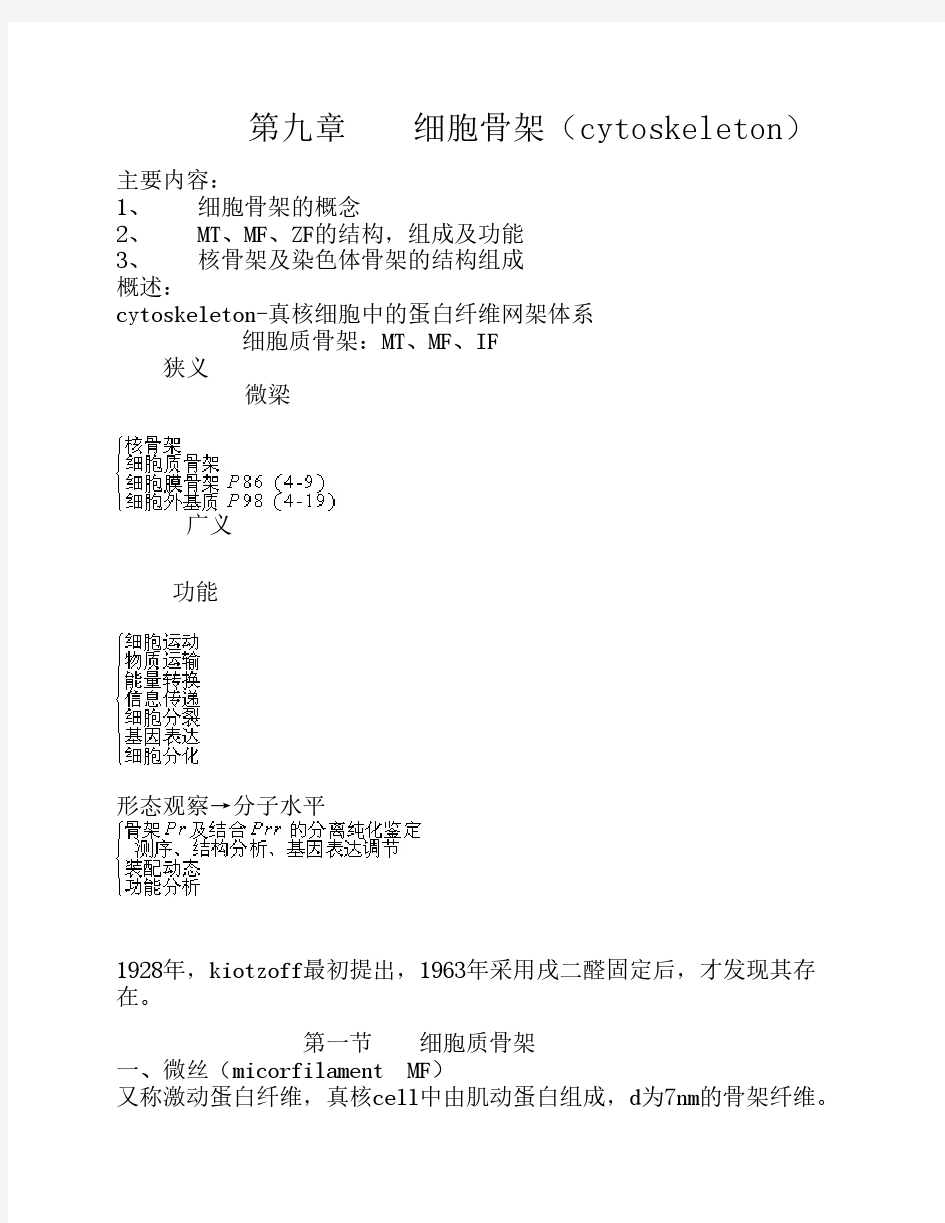 第九章 细胞骨架(cytoskeleton)