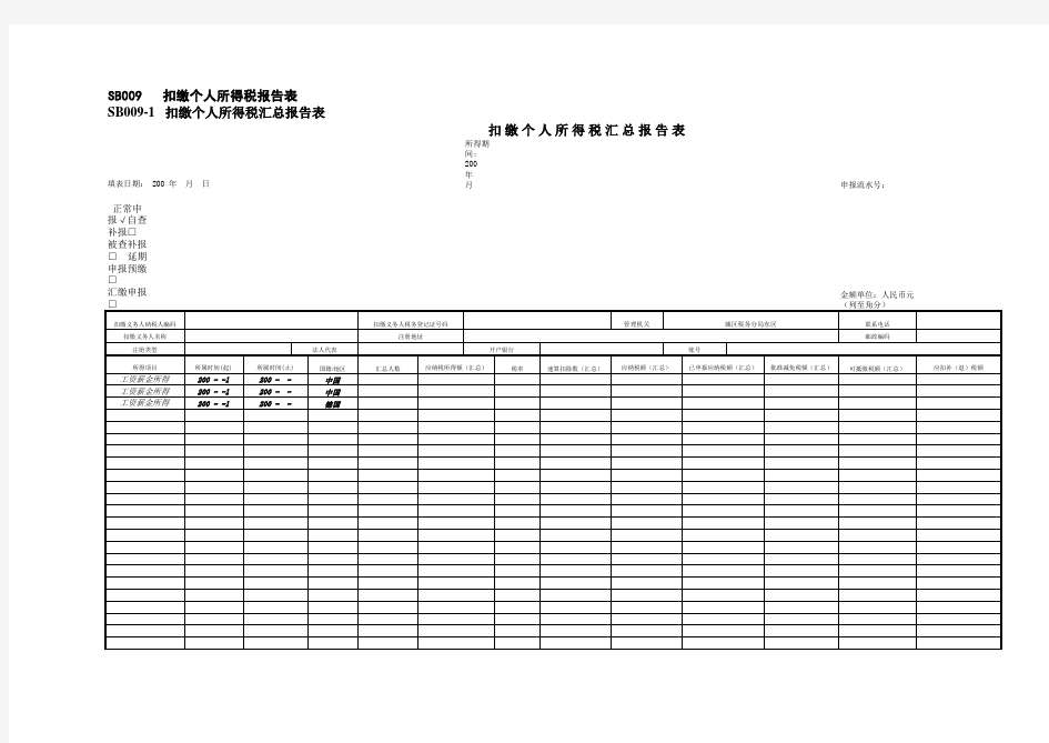SB009-1扣缴个人所得税汇总报告表