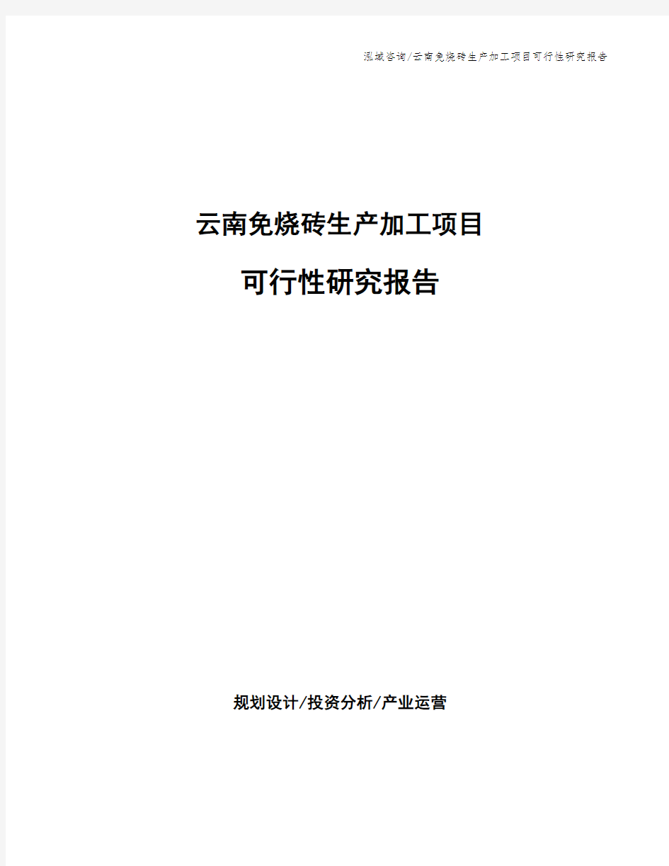 云南免烧砖生产加工项目可行性研究报告