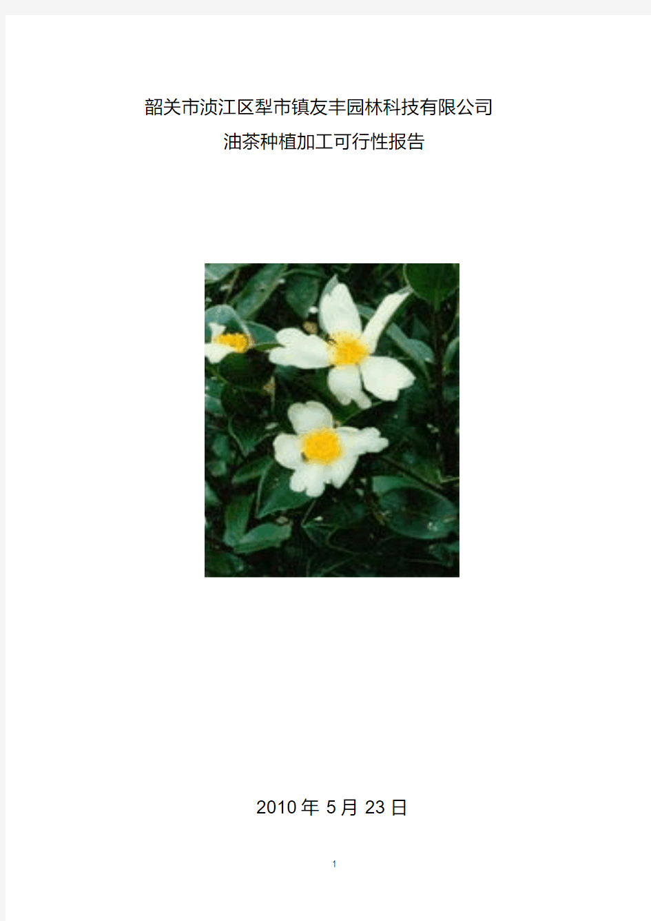 油茶种植项目可行性报告.pdf