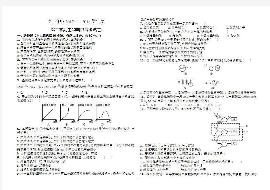 (完整版)高中生物必修二考试试题(含答案)