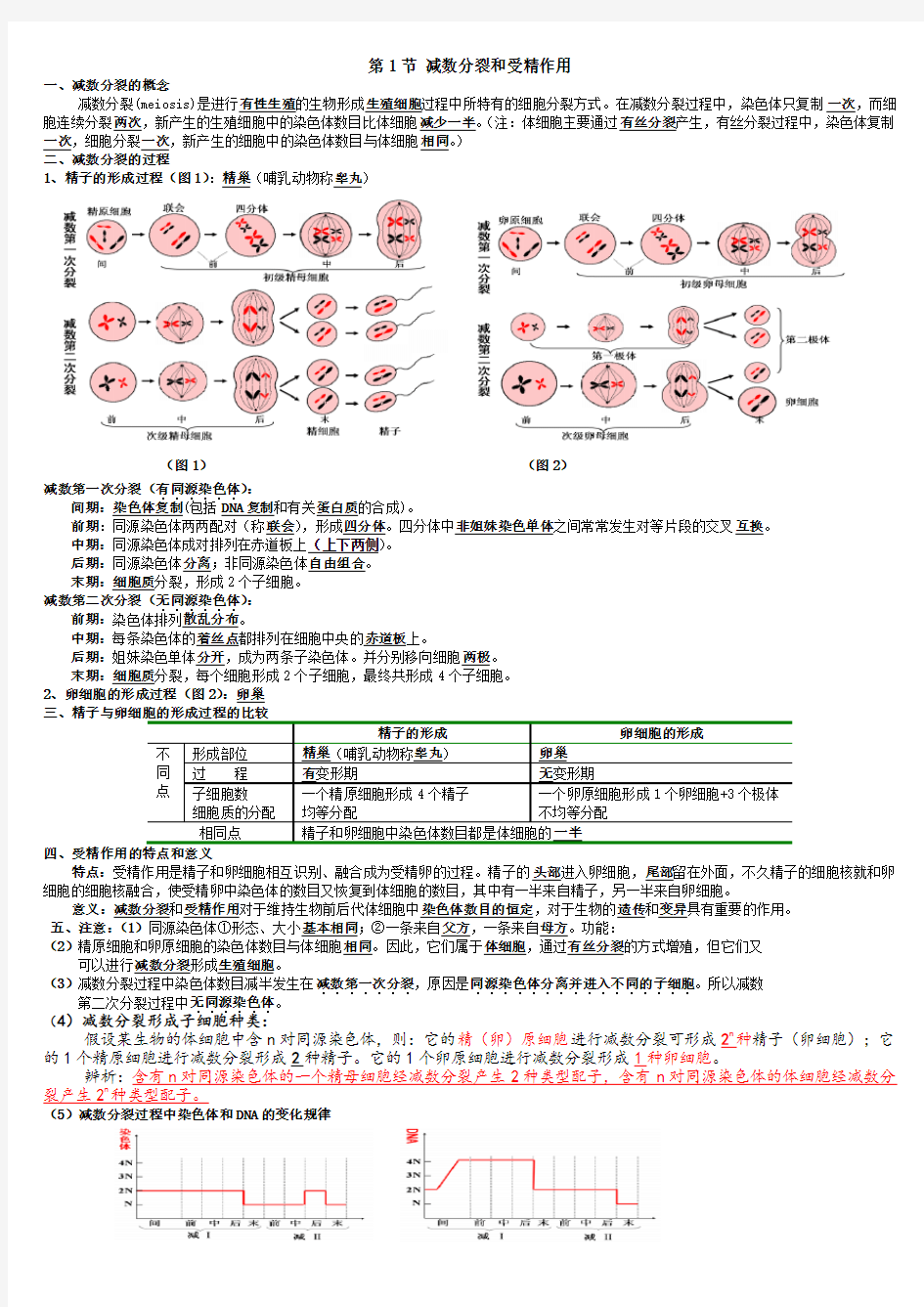 减数分裂和受精作用知识点