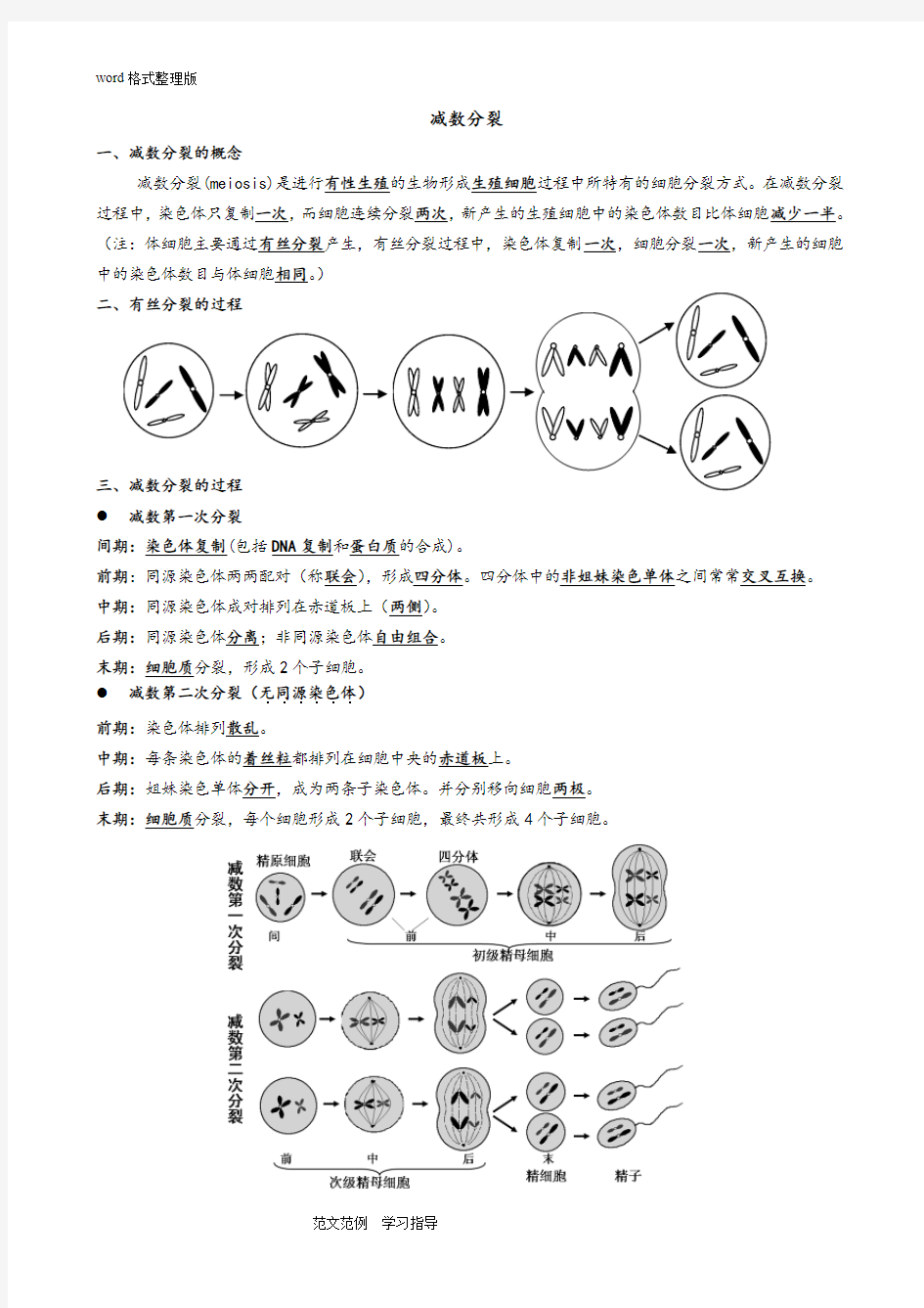 减数分裂知识点归纳和试题