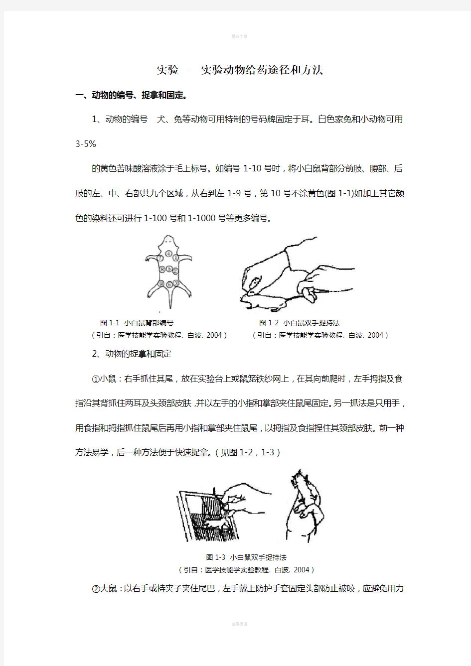 实验一-实验动物给药途径和方法.