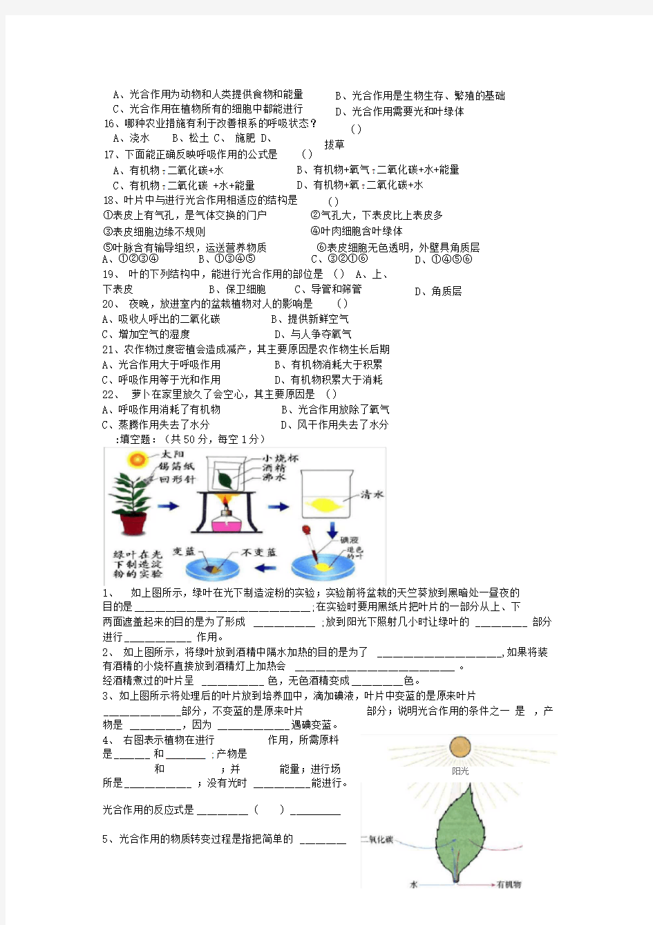 绿色植物的光合作用与呼吸作用试题