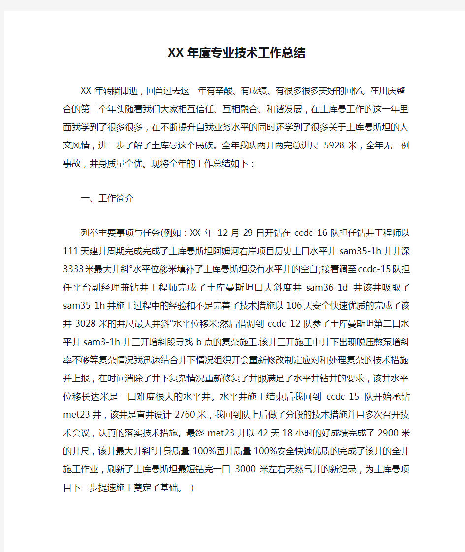 XX年度专业技术工作总结