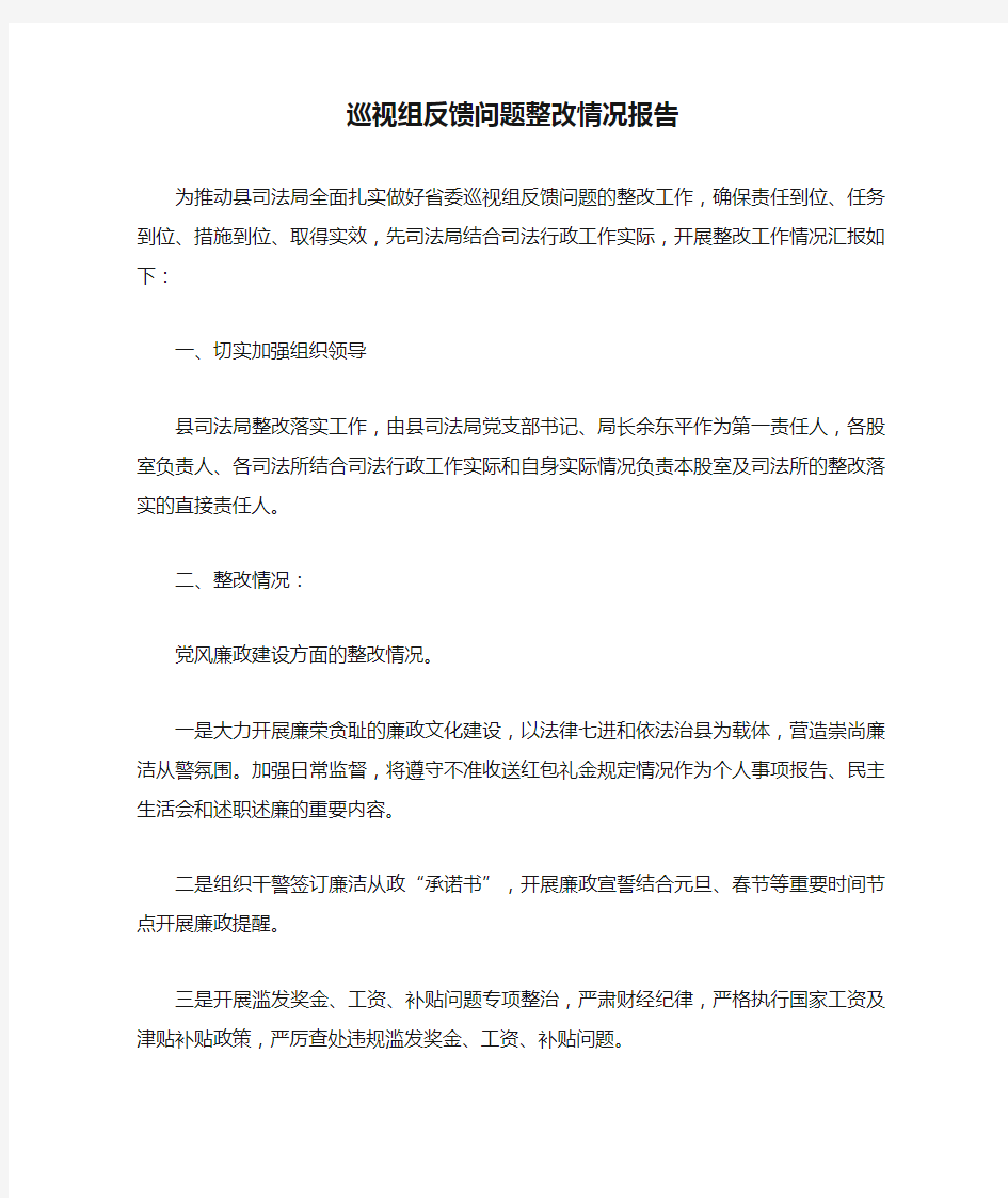 巡视组反馈问题整改情况报告